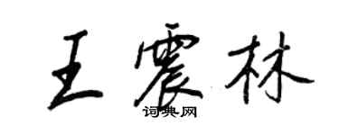 王正良王震林行書個性簽名怎么寫