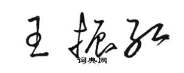 駱恆光王振紅草書個性簽名怎么寫