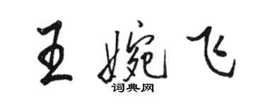 駱恆光王婉飛行書個性簽名怎么寫