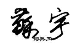 朱錫榮蘇宇草書個性簽名怎么寫