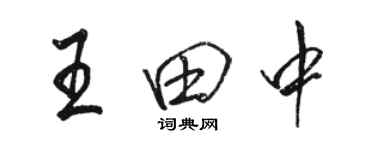 駱恆光王田中行書個性簽名怎么寫