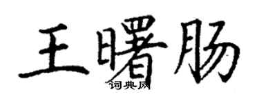 丁謙王曙腸楷書個性簽名怎么寫