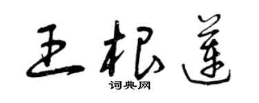 曾慶福王根蓮草書個性簽名怎么寫