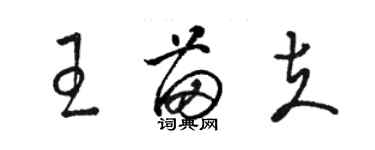 駱恆光王苗夫草書個性簽名怎么寫