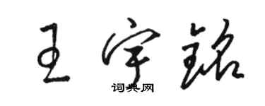 駱恆光王宇銘草書個性簽名怎么寫