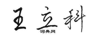 駱恆光王立科行書個性簽名怎么寫