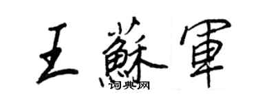 王正良王蘇軍行書個性簽名怎么寫