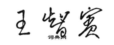 駱恆光王智賓草書個性簽名怎么寫