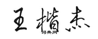駱恆光王楷傑行書個性簽名怎么寫