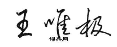 駱恆光王唯極行書個性簽名怎么寫