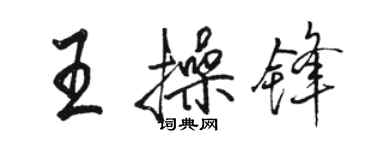 駱恆光王操鋒行書個性簽名怎么寫