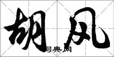 胡問遂胡風行書怎么寫