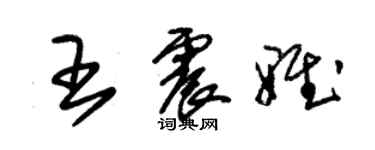 朱錫榮王震雅草書個性簽名怎么寫