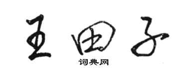 駱恆光王田子行書個性簽名怎么寫