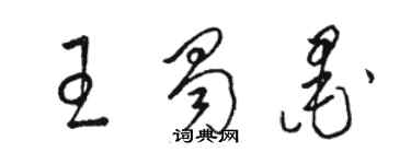 駱恆光王蜀墨草書個性簽名怎么寫