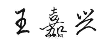 駱恆光王嘉興行書個性簽名怎么寫