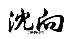 胡問遂沈向行書個性簽名怎么寫