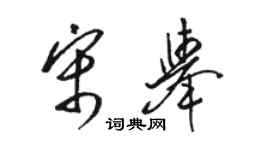 駱恆光宋舉草書個性簽名怎么寫