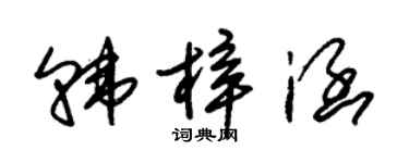 朱錫榮韓梓涵草書個性簽名怎么寫
