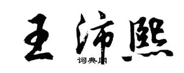 胡問遂王沛熙行書個性簽名怎么寫