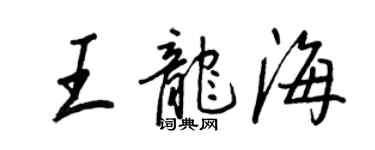 王正良王龍海行書個性簽名怎么寫
