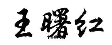 胡問遂王曙紅行書個性簽名怎么寫
