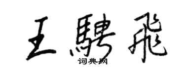 王正良王騁飛行書個性簽名怎么寫