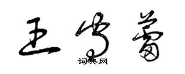 曾慶福王守蕾草書個性簽名怎么寫