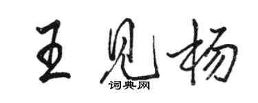 駱恆光王見楊行書個性簽名怎么寫