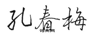 駱恆光孔春梅行書個性簽名怎么寫