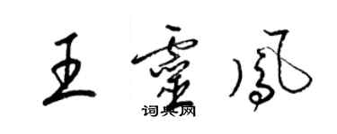 梁錦英王靈鳳草書個性簽名怎么寫