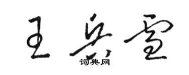 駱恆光王兵雪草書個性簽名怎么寫