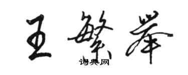 駱恆光王繁舉行書個性簽名怎么寫