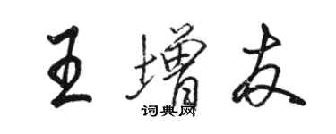 駱恆光王增友行書個性簽名怎么寫