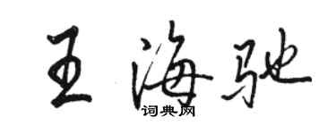 駱恆光王海馳行書個性簽名怎么寫