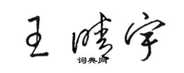 駱恆光王晴宇草書個性簽名怎么寫