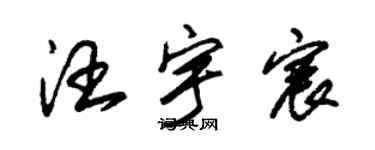 朱錫榮汪宇宸草書個性簽名怎么寫