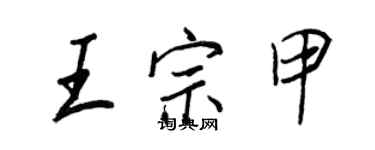 王正良王宗甲行書個性簽名怎么寫