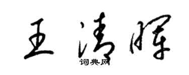梁錦英王清暉草書個性簽名怎么寫