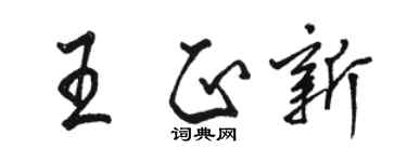駱恆光王正新行書個性簽名怎么寫