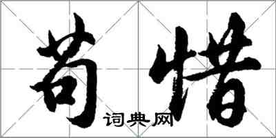 胡問遂苟惜行書怎么寫