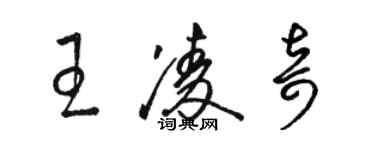 駱恆光王凌奇草書個性簽名怎么寫