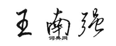 駱恆光王南強行書個性簽名怎么寫