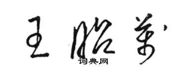 駱恆光王昭萬草書個性簽名怎么寫