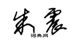 朱錫榮朱震草書個性簽名怎么寫