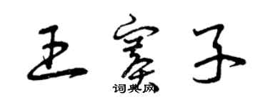 曾慶福王賽子草書個性簽名怎么寫