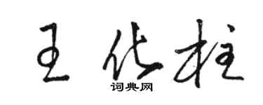 駱恆光王化柱草書個性簽名怎么寫