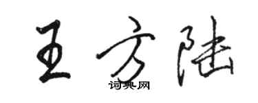 駱恆光王方陸行書個性簽名怎么寫