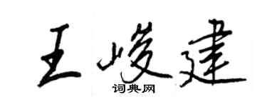 王正良王峻建行書個性簽名怎么寫