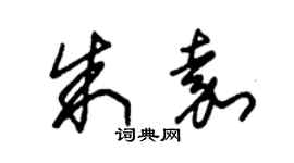 朱錫榮朱嘉草書個性簽名怎么寫